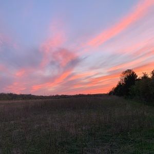 Meet your Posher, Leo